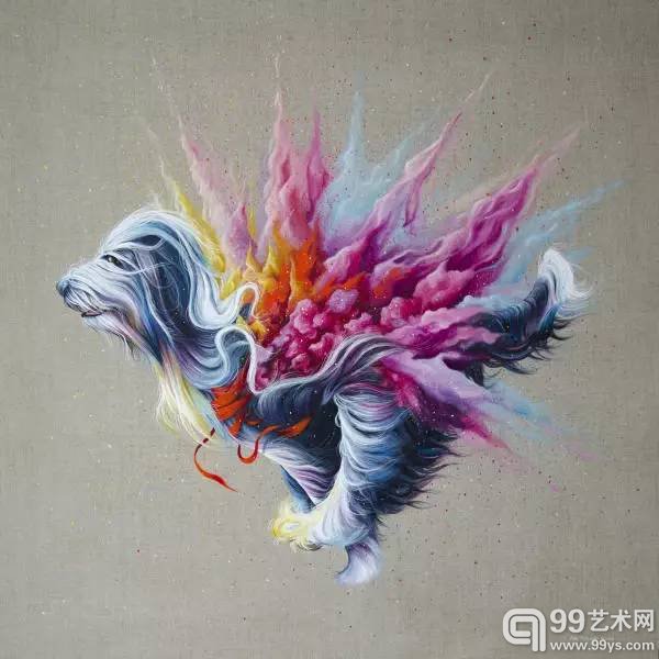 羽毛 缎带和星空：她用细腻的笔触画出动物的世界