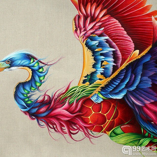 羽毛 缎带和星空：她用细腻的笔触画出动物的世界