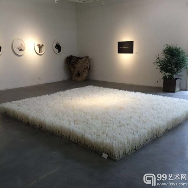 白草地，余加，混凝土、扎带，400×400cm，2014年