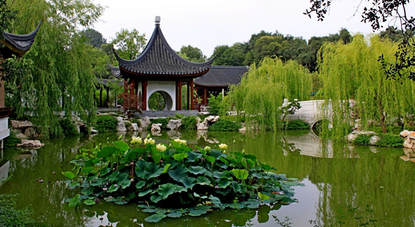 植物园中的中国园林