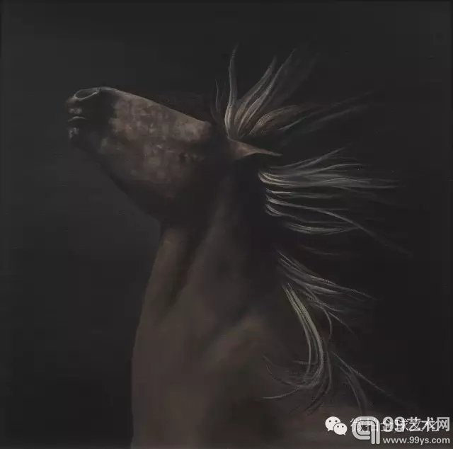 《MCK57L78-马》100×100cm 2014