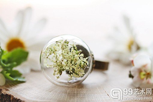 藏在玻璃器皿中的花朵植物手工作品美图