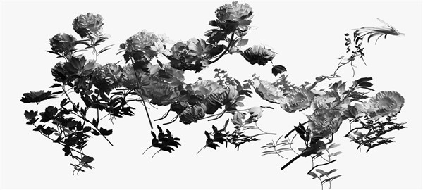 击鼓传花NO13