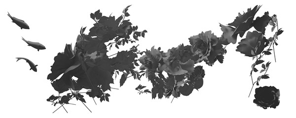 击鼓传花NO12