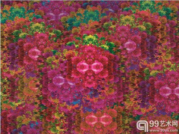 击鼓传花NO31