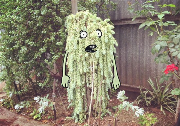 \