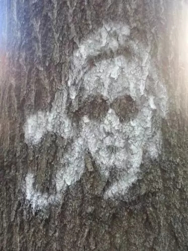 \