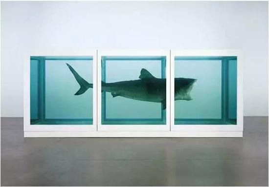 《生者对死者无动于衷》，by Damien Hirst， 1991