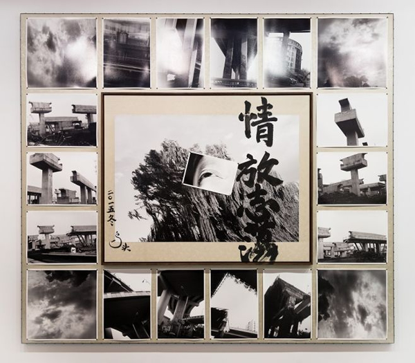 鸟头作品《情放志荡-14》，2015