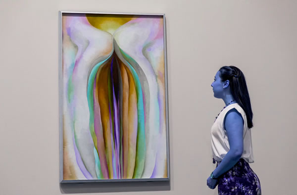 泰特现代美术馆奥姬芙作品前的观众
