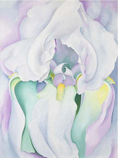 白色鸢尾花，1930