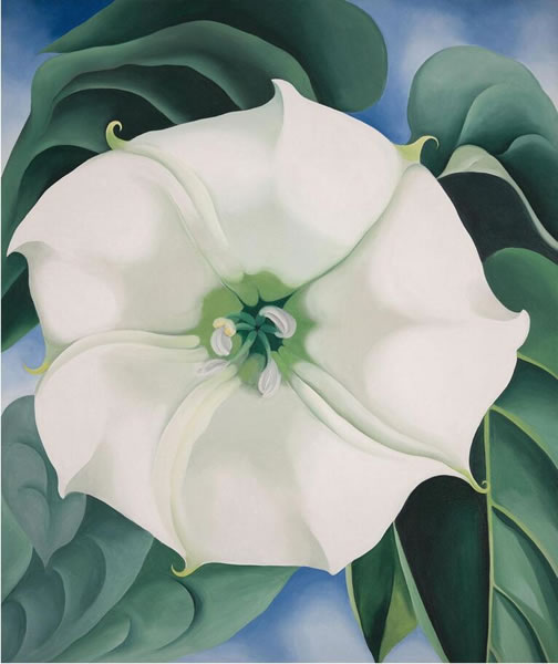 白色花1号，1932