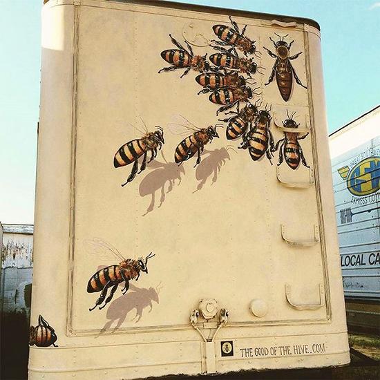 艺术家在世界各地画了五万只蜜蜂