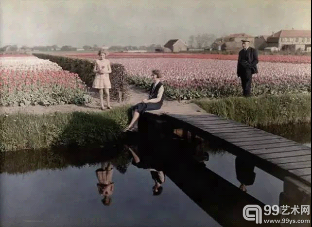 花海与河道（1931 年，荷兰）