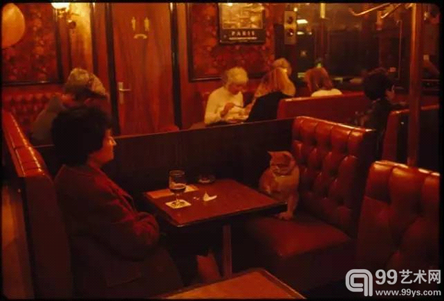 猫与女人（1988 年，法国）