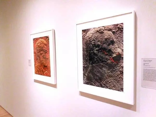 莫伊拉·戴维（ Moyra Davey）的摄影作品 图片：Ben Davis