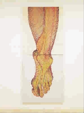 画廊作品：Left Foot 1982年 布上丙烯