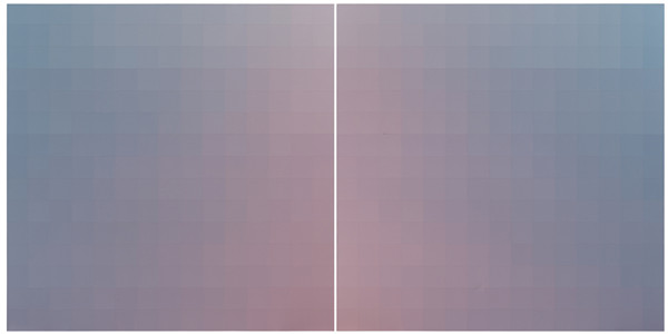 \