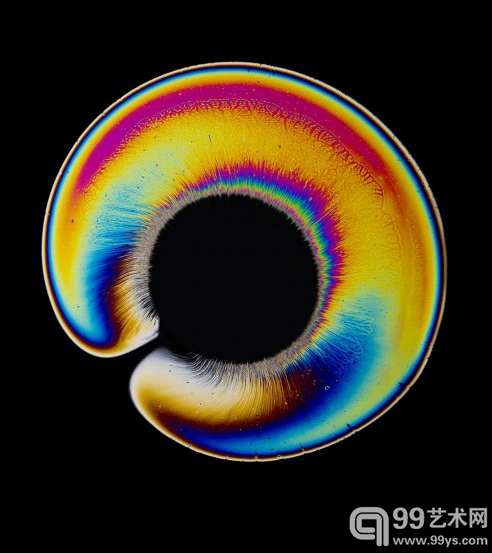 它们看上去真的很像眼睛，不是吗？