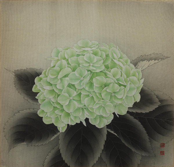 绣球花
