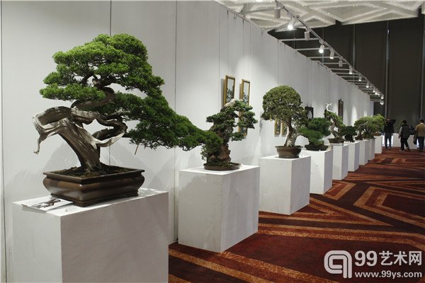 预展拍品