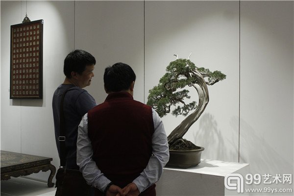 预展现场