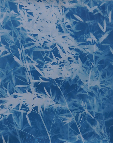 张大力 竹子_Bamboo(10).亚麻布蓝晒Cyanotype on canvas （100X80cm）2016.8.29