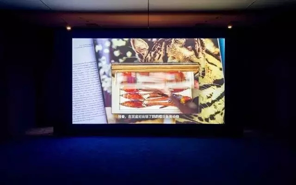童昆鸟为“波普之上”创作的《从罗马尼亚到洛杉矶的路上》在展览现场 图片源自网络