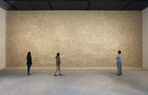 地衣之墙，1994 图片源自埃利亚松工作室官网