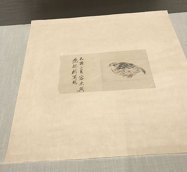 齐白石写生稿及创作草图