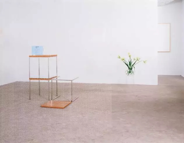 《全自由度实验》，卡罗尔·波夫，2003。图片来源于网络