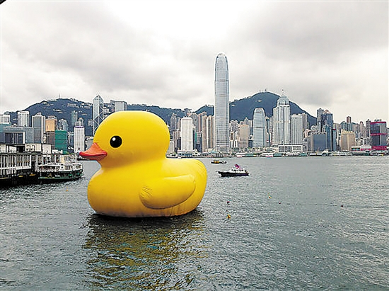 荷兰艺术家把大黄鸭放养在香港维多利亚港