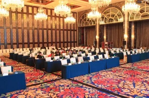 财富管理与艺术投资国际高峰论坛 会场内部