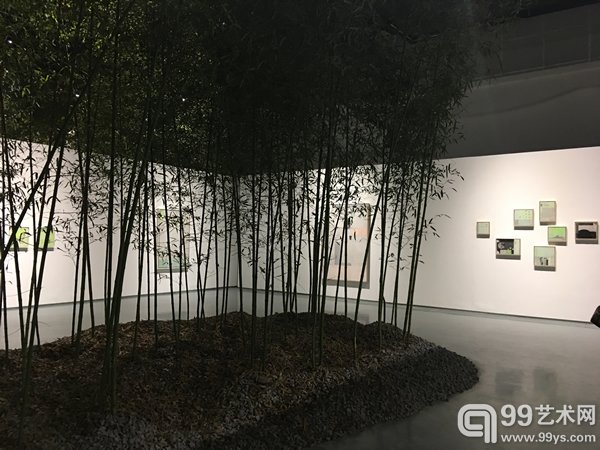 现场图