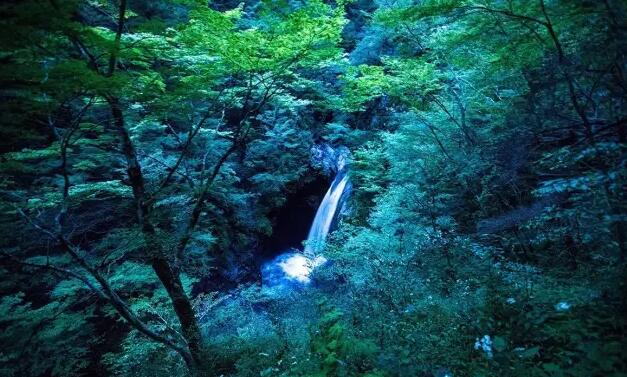 深山中的《Waterfall of Light Particles - Deep in the Mountains of Shikoku》