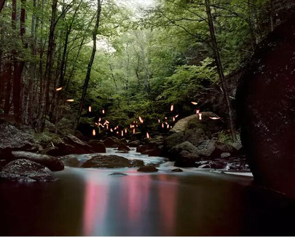Brush Brook,2016