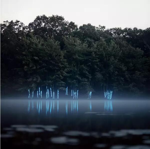 TraceBlue，2008