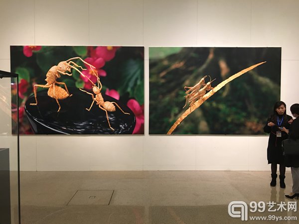 展览现场