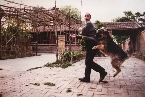 上世纪末，艺术家杨少斌和他的爱犬在圆明园的工作室