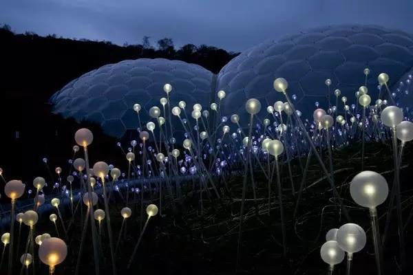 位于英国Cornwall郡St.Austell的伊甸园项目的《Field of Light》（©Bruce Munro）