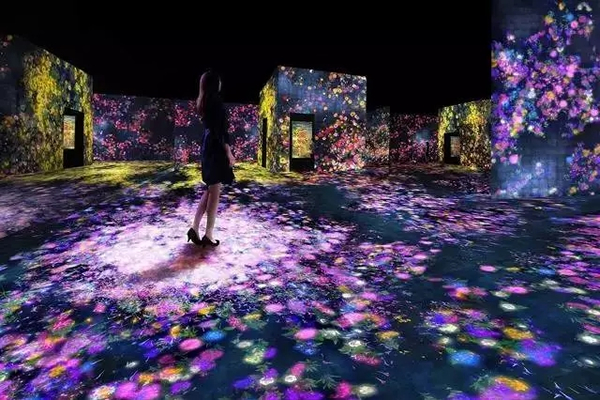  《Flower Forest, Lost and Immersed》，teamLab，2017