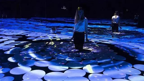 《HARMONY》，teamLab，2015