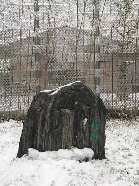 雪中待园