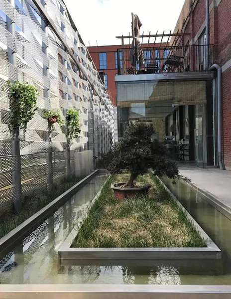 鱼池与咖啡厅
