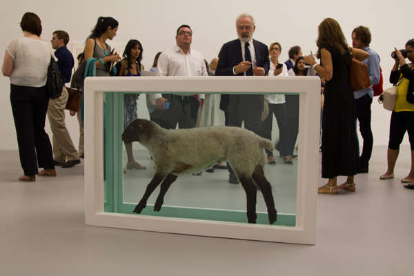 Damien Hirst, Doha 2013, photo by Gazanfarulla Khan, flickr, by CC