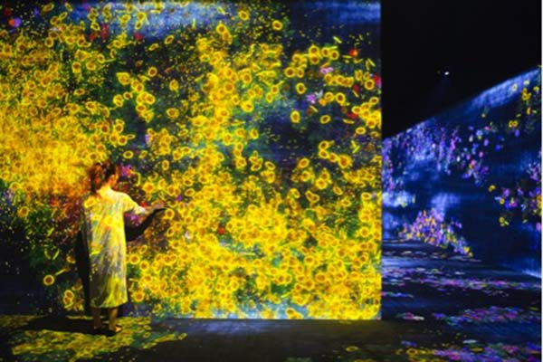 “teamLab: 花舞森林与未来游乐园”佩斯北京展览现场，图片：佩斯北京
