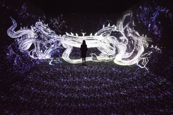 《被追逐的八咫乌，追逐同时亦被追逐的八咫乌》，超越空间，teamLab，2017，互动数字装置，4分20秒，声音：高桥英明，图片：佩斯北京