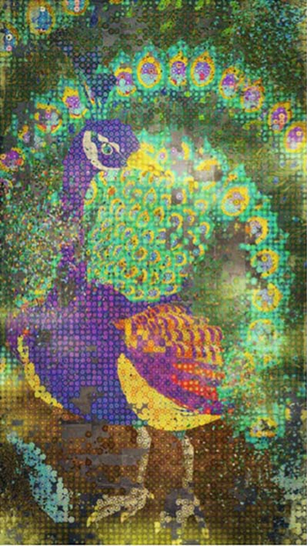《昙花一现系列－牡丹孔雀》，teamLab, 2017, 数字作品，单频，5分20秒 x 3，图片：佩斯北京 