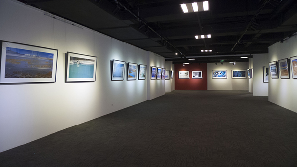 展览现场