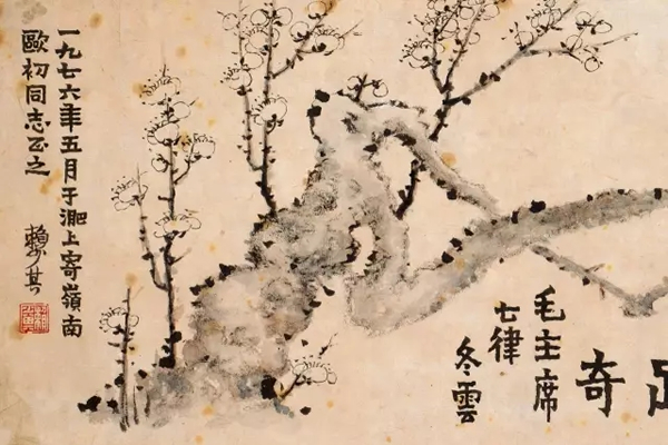精彩局部